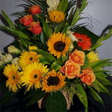 Seasonal Flowers