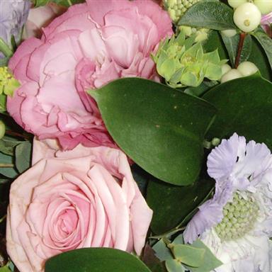 Gift Set 1 Florist Choice Vase Fiori Florist Southend