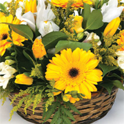 Florist Choice Basket