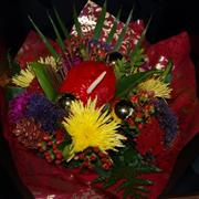 Arabian Nights Handtie