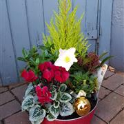 Florist Choice Planter