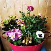 Large Country Planter Pink