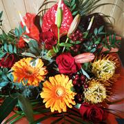 Autumn Bloom