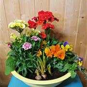 Cheery Planted Tub