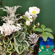 Let it Snow &amp; Chocolate Gift Set