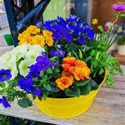 Large Bright Planter